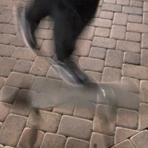 Meet your Posher, Bryan diamond